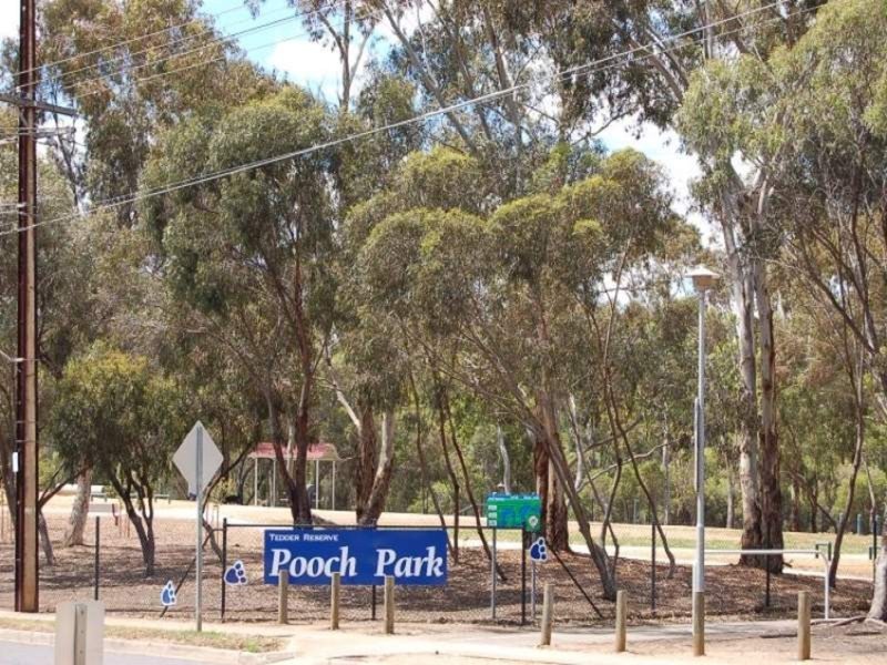 16 Catherine Avenue, Flinders Park SA 5025