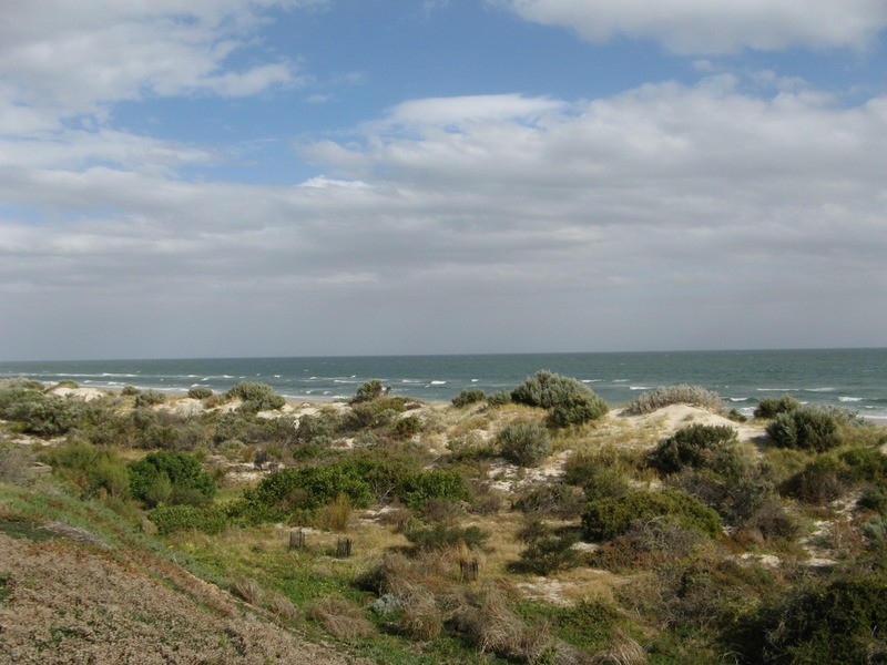 2/8 Renwick Street, West Beach SA 5024