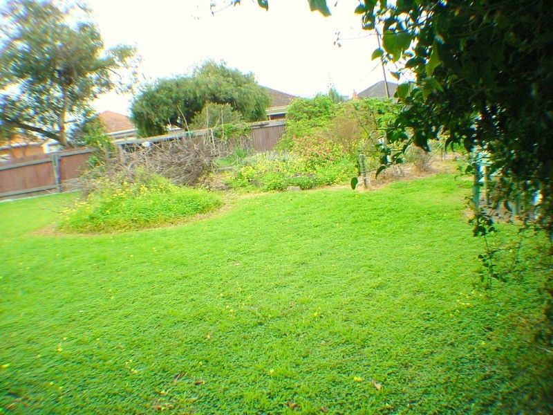 1 Palm Avenue, Royal Park SA 5014