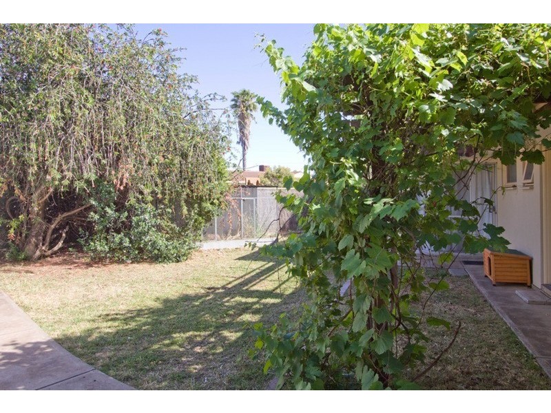 38 Harrison Road, Renown Park SA 5008