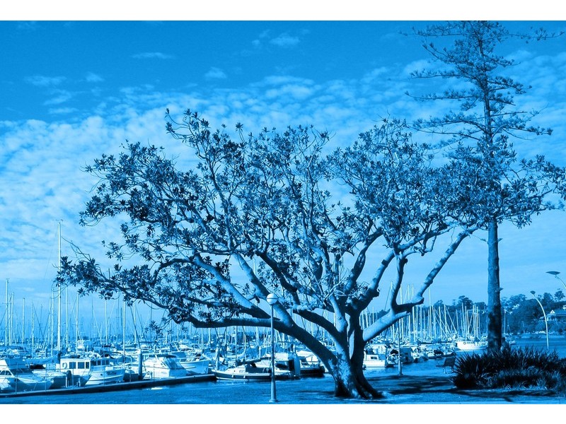 7 Quebec Street, Port Adelaide SA 5015