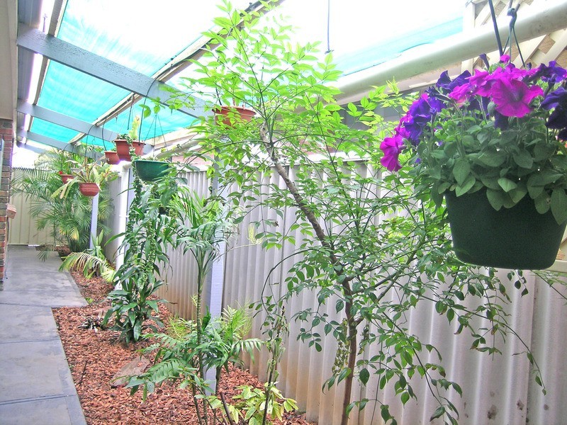 2 Oronsay Drive, North Haven SA 5018