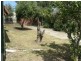 18 Baker Street, Birkenhead SA 5015