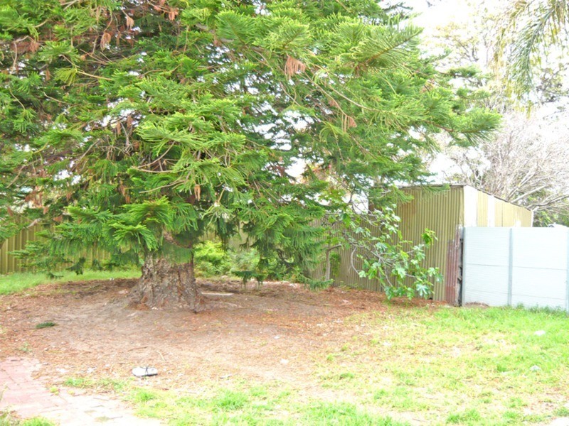 15 OSBORNE Street, Largs Bay SA 5016