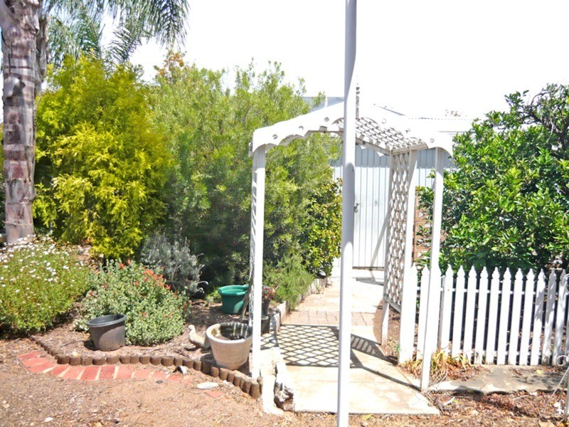 17 Cardiff Street, Woodville West SA 5011