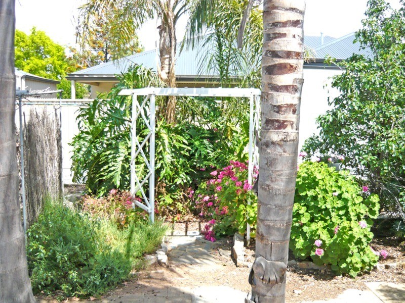 17 Cardiff Street, Woodville West SA 5011