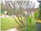 45 Brenthorpe Road, Seaton SA 5023