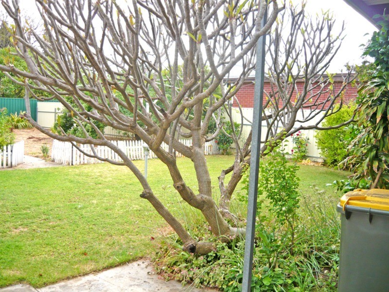 45 Brenthorpe Road, Seaton SA 5023