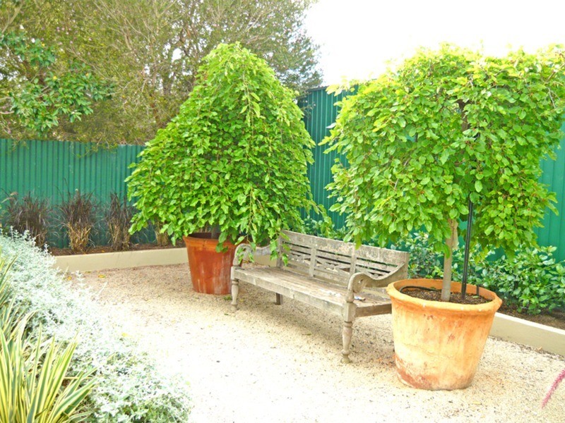 25 Claughton  Road, Largs Bay SA 5016