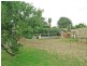 131 William  Street, Beverley SA 5009