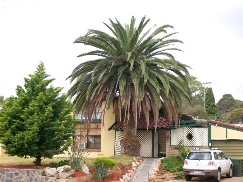 87 Stanford Road, Salisbury Heights SA 5109