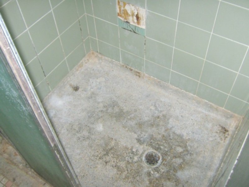 12 Nautilus Road, Elizabeth East SA 5112