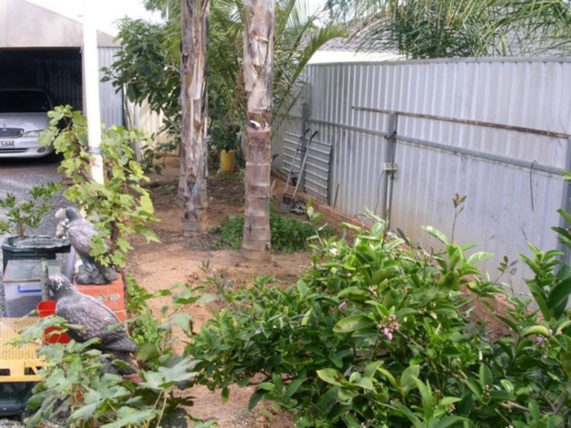 42 Porter Street, Elizabeth South SA 5112