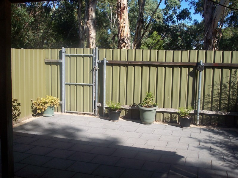 3/14 Torrens Avenue, West Hindmarsh SA 5007