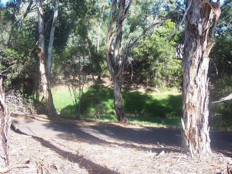 3/14 Torrens Avenue, West Hindmarsh SA 5007