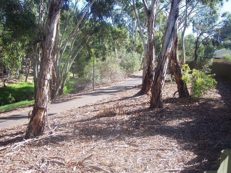 3/14 Torrens Avenue, West Hindmarsh SA 5007