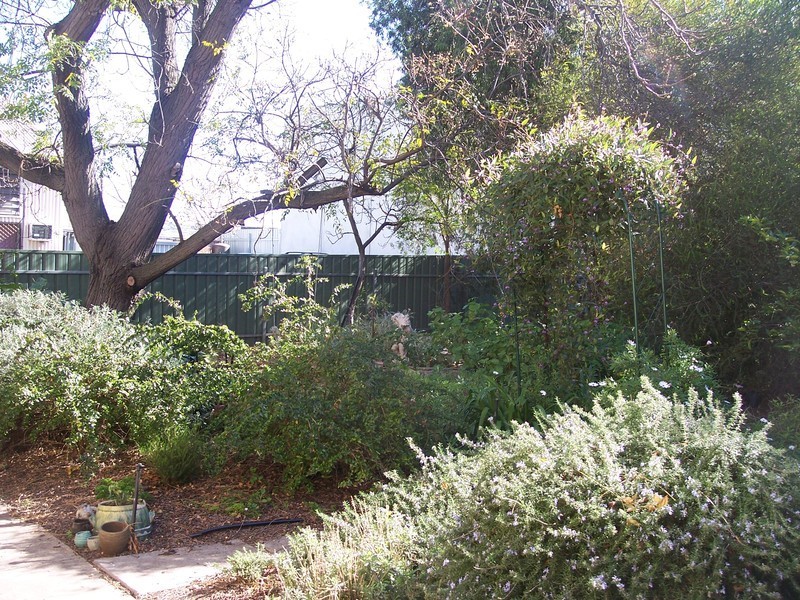 309 North East Road, Hampstead Gardens SA 5086