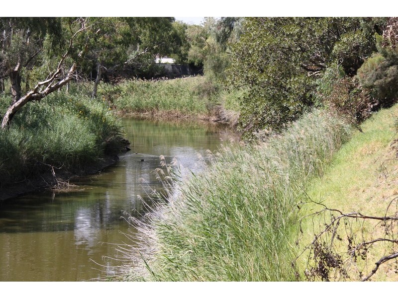 6 Sandilands Street, Lockleys SA 5032