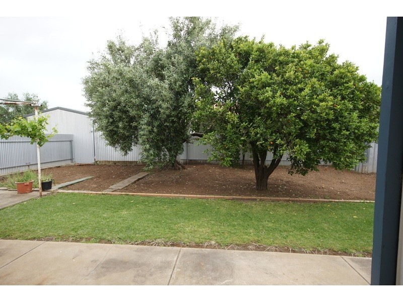 48 Hounslow Avenue, Torrensville SA 5031