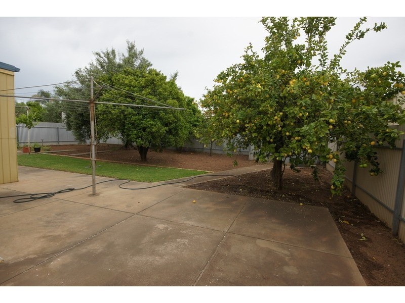 48 Hounslow Avenue, Torrensville SA 5031