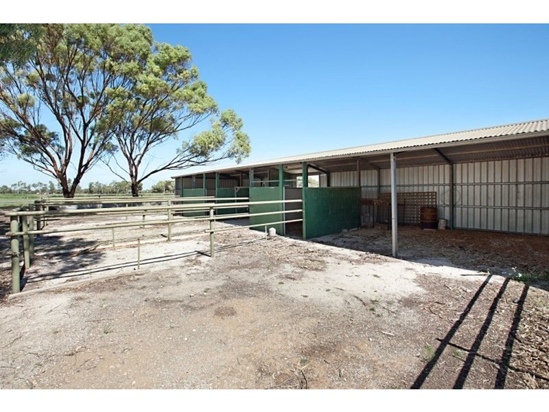 75 Buckland Park Road, Two Wells SA 5501