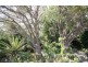6 Sandilands Street, Lockleys SA 5032