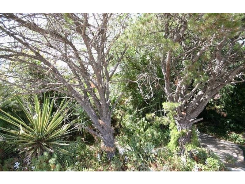 6 Sandilands Street, Lockleys SA 5032