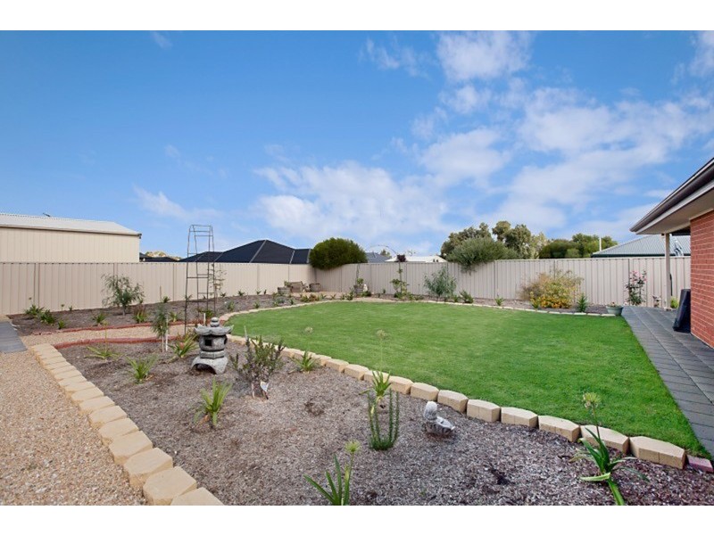 56 Borrow Street, Freeling SA 5372