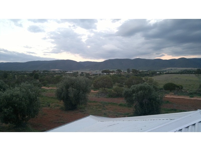 542 Muster Drive, Napperby SA 5540