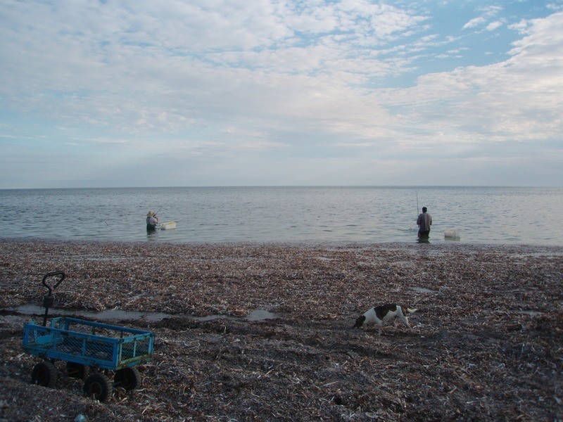 Lot 179 Esplanade, Thompson Beach SA 5501