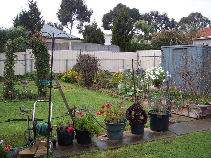 7  Freeman  Avenue, Tranmere SA 5073