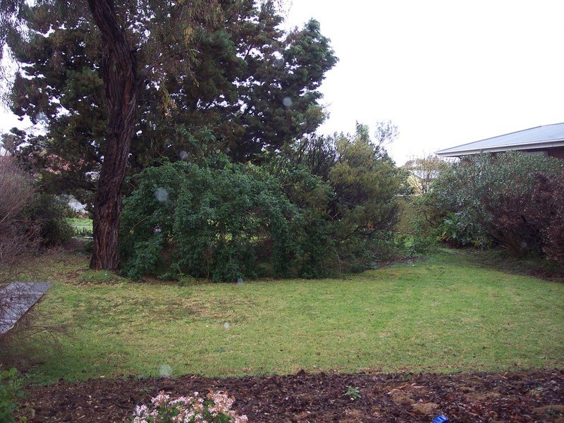 5 & 7 Windsor Avenue, Clearview SA 5085
