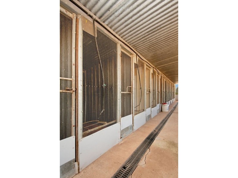 3 COATS Road, Two Wells SA 5501
