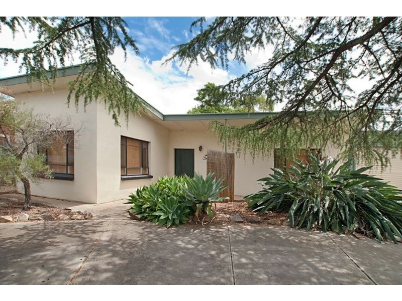 59 Hillsea Avenue, Clearview SA 5085