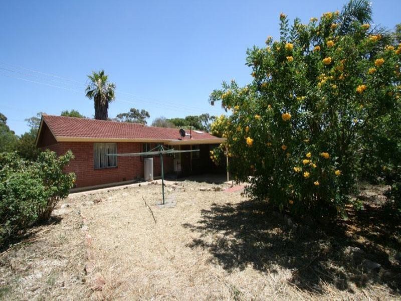 48 Marcian Avenue, Elizabeth Downs SA 5113