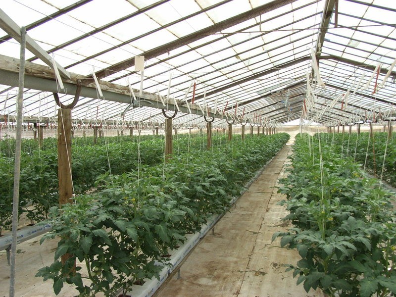 Lot 11 Ellis Road, Two Wells SA 5501