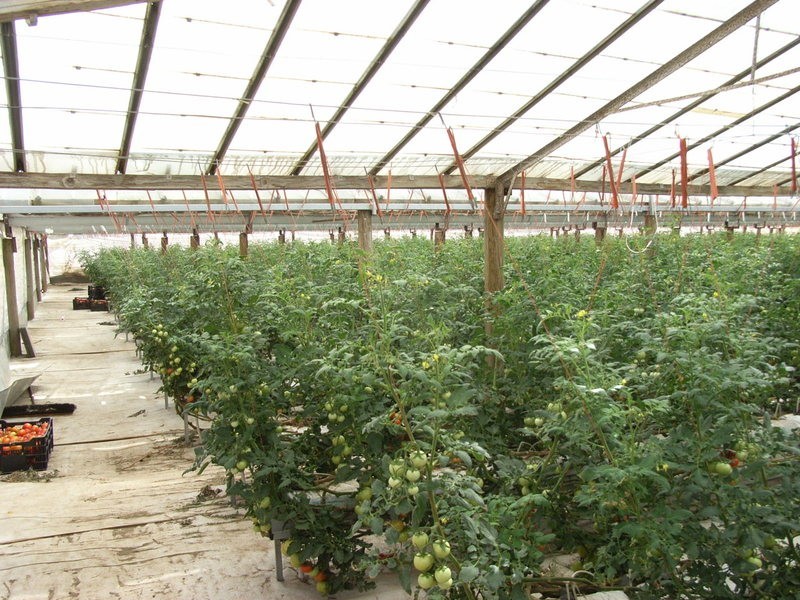 Lot 11 Ellis Road, Two Wells SA 5501