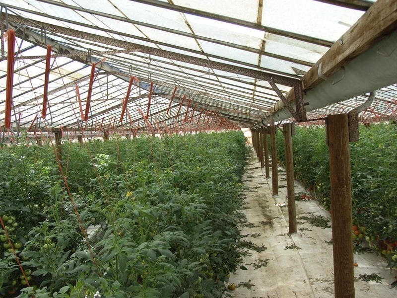 Lot 11 Ellis Road, Two Wells SA 5501