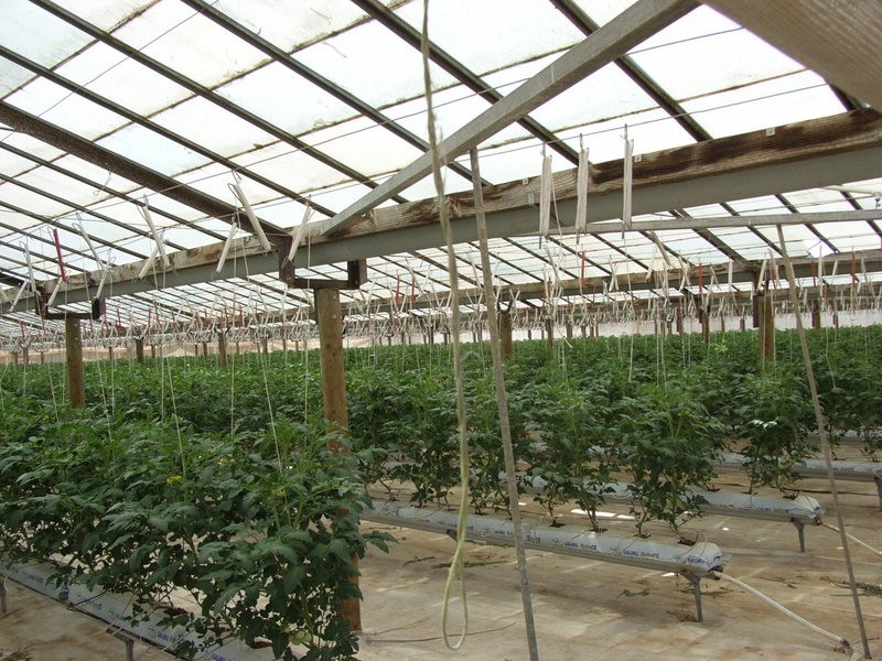 Lot 11 Ellis Road, Two Wells SA 5501