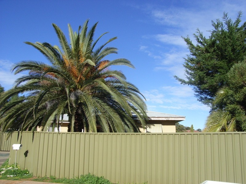 13 Bagot Road, Elizabeth South SA 5112