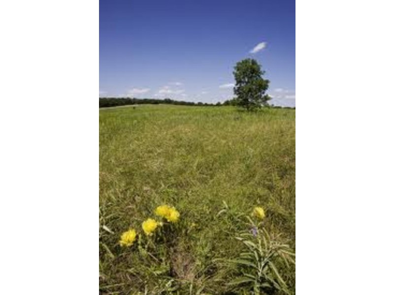 7B Keevil Street, Elizabeth SA 5112