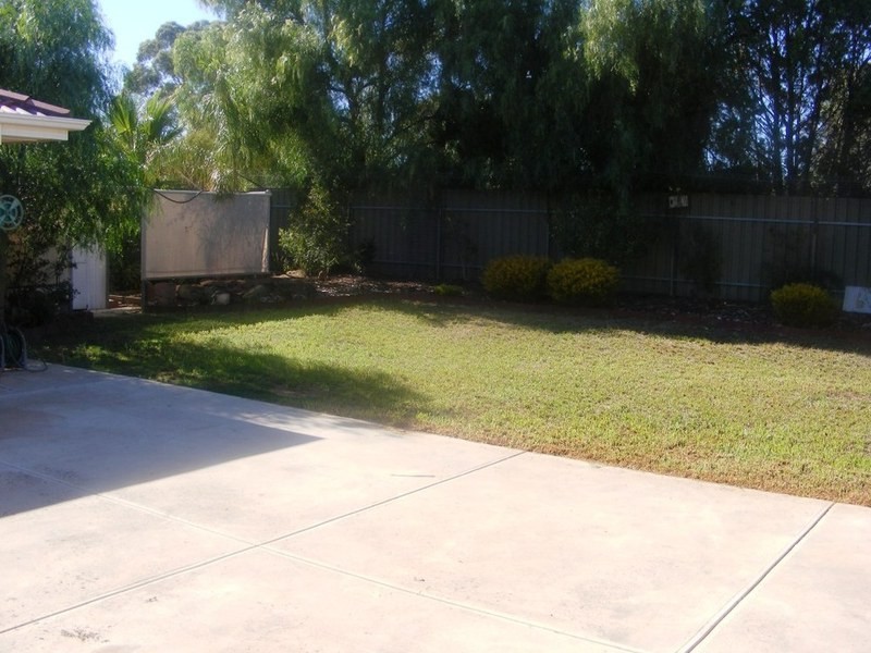 17 Riddoch Drive, Andrews Farm SA 5114