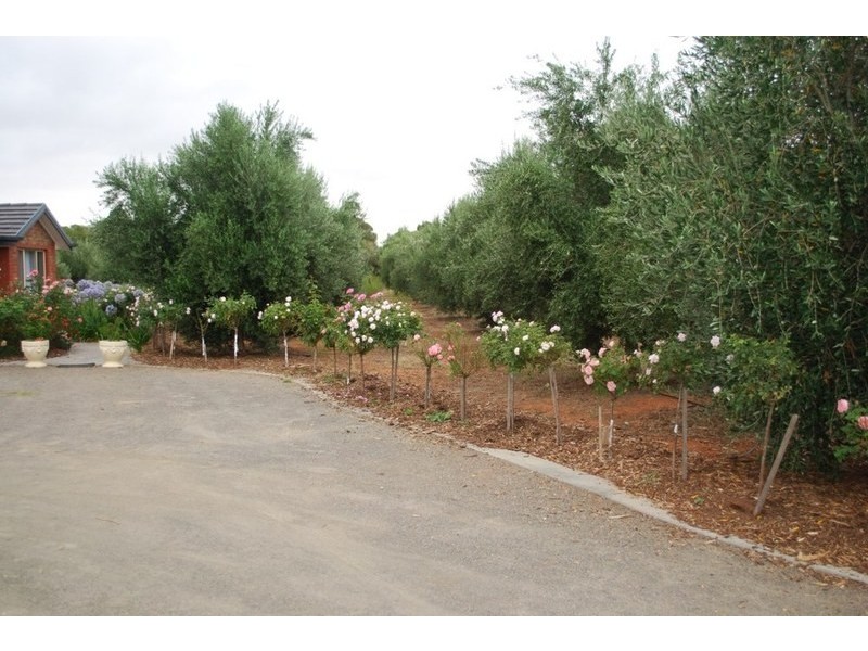 lot/501 Lyndon Road, Macdonald Park SA 5121