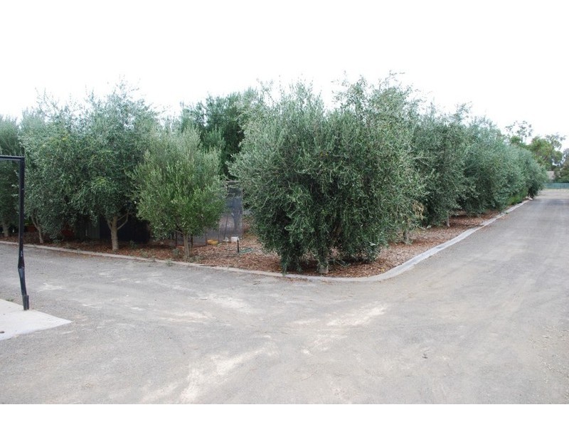 lot/501 Lyndon Road, Macdonald Park SA 5121