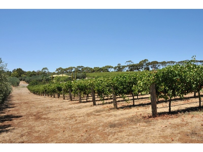 lot/1 Black Top Road, One Tree Hill SA 5114