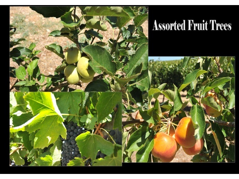 lot/1 Black Top Road, One Tree Hill SA 5114