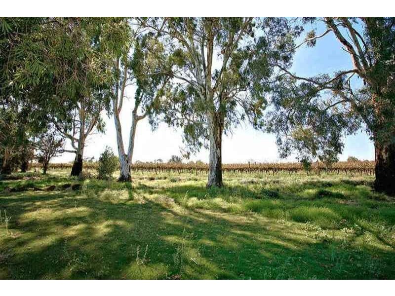 167 Johns Road, Lewiston SA 5501