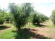 lot/501 Lyndon Road, Macdonald Park SA 5121