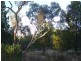Lot 34 John Street, Lyndoch SA 5351