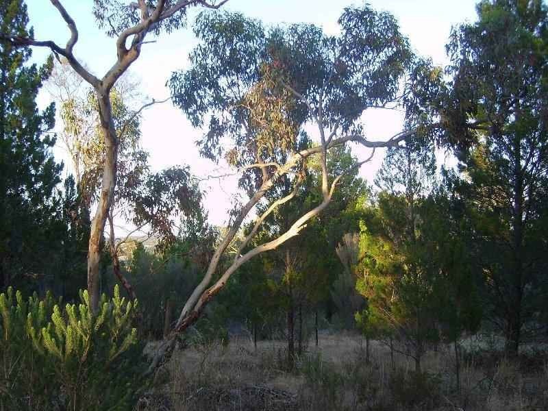 Lot 34 John Street, Lyndoch SA 5351